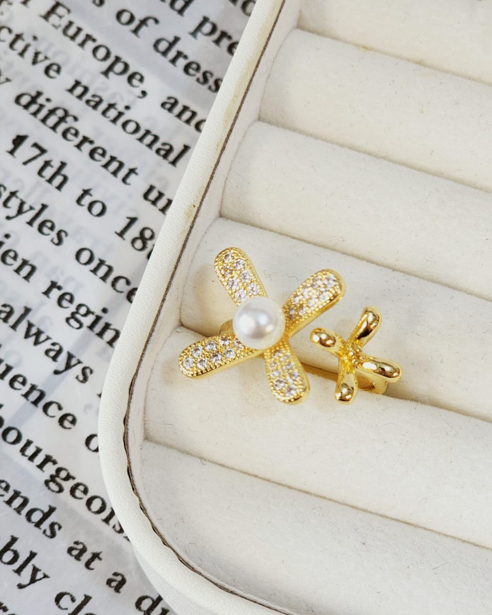 Anillos