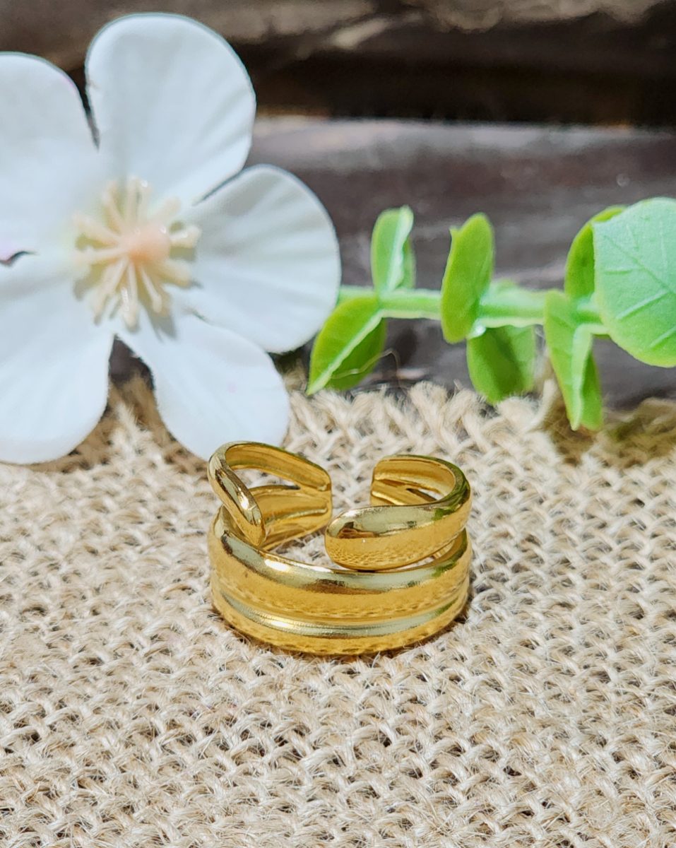 Anillos