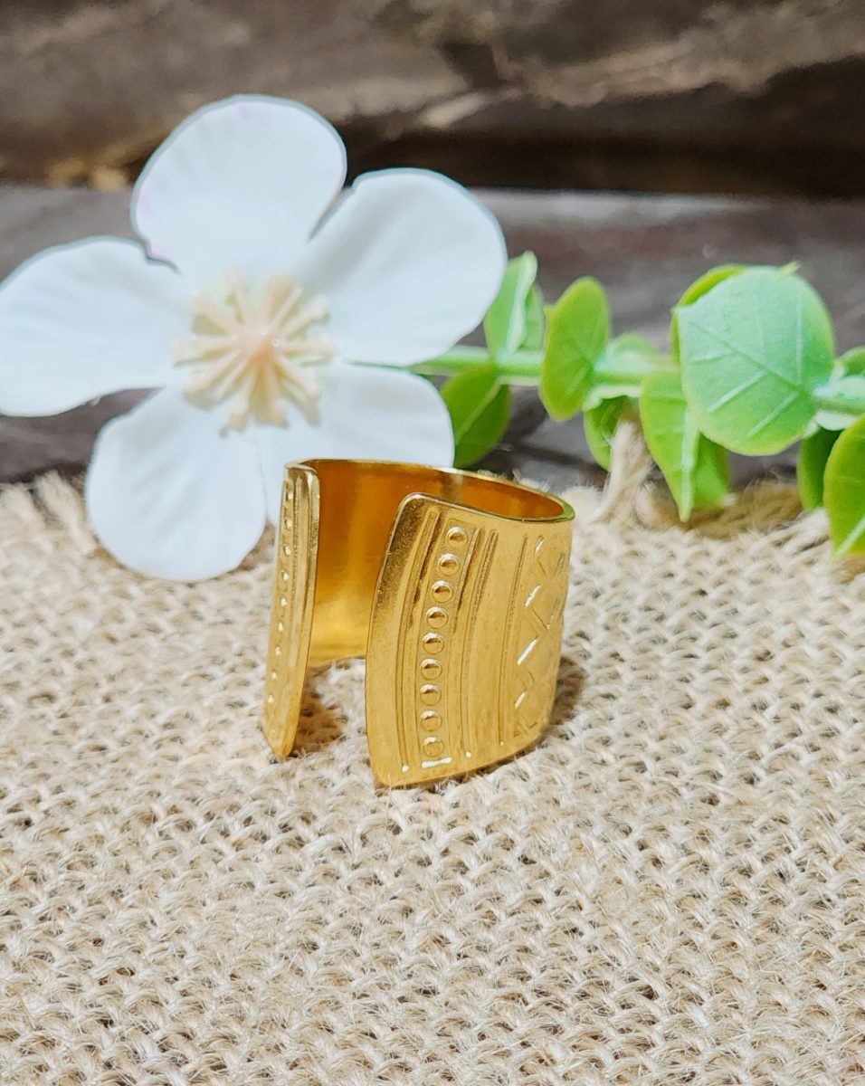 Anillos