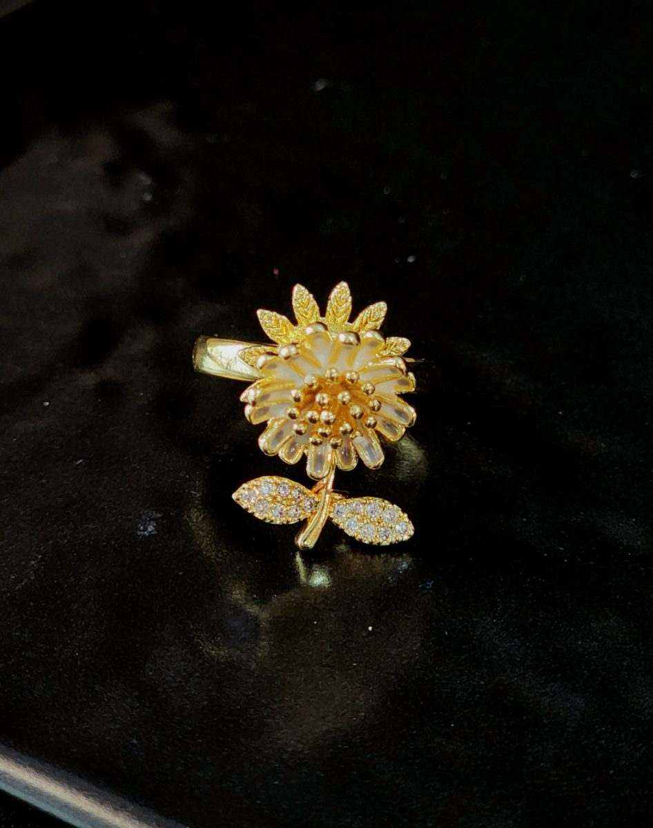 Anillo Giratorio