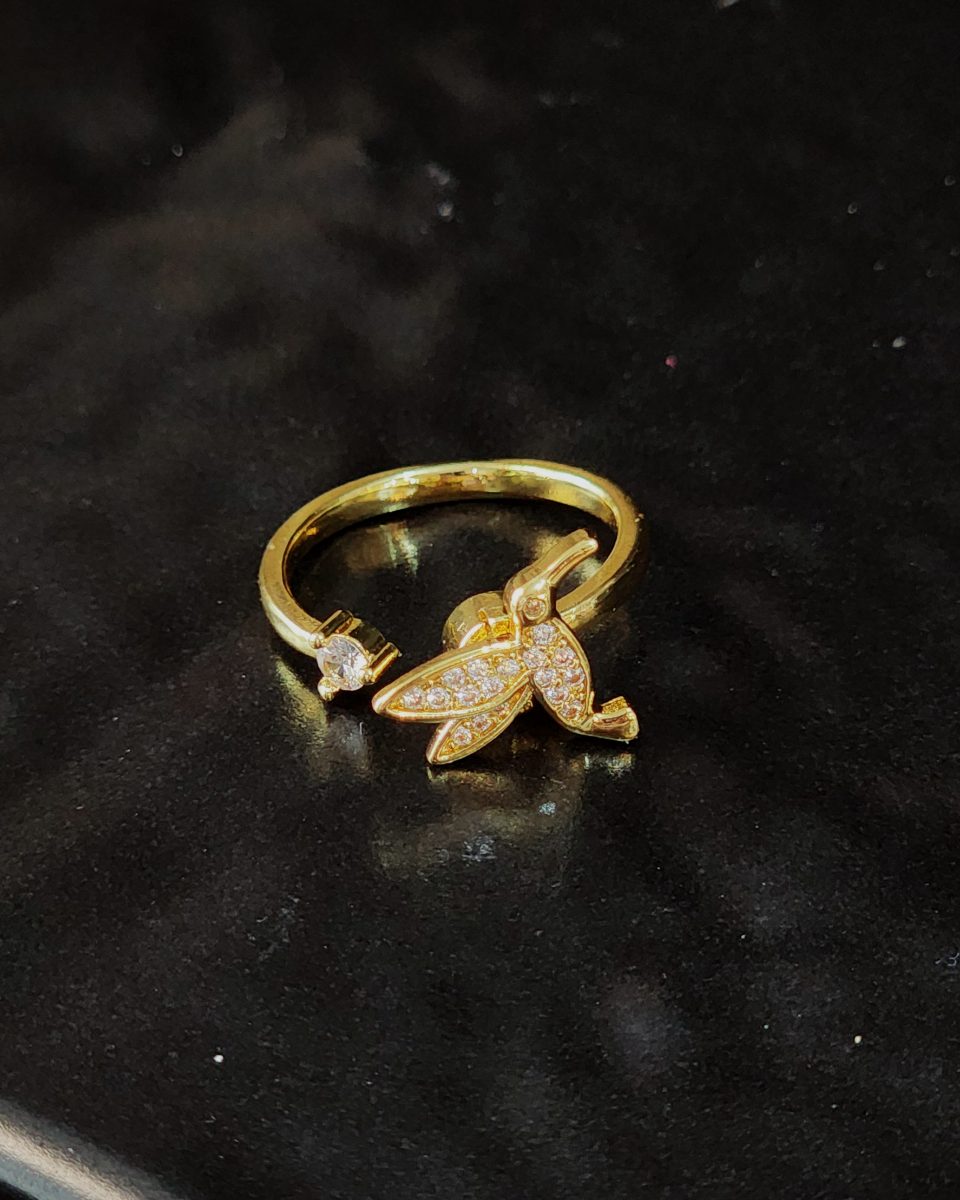 Anillo Giratorio