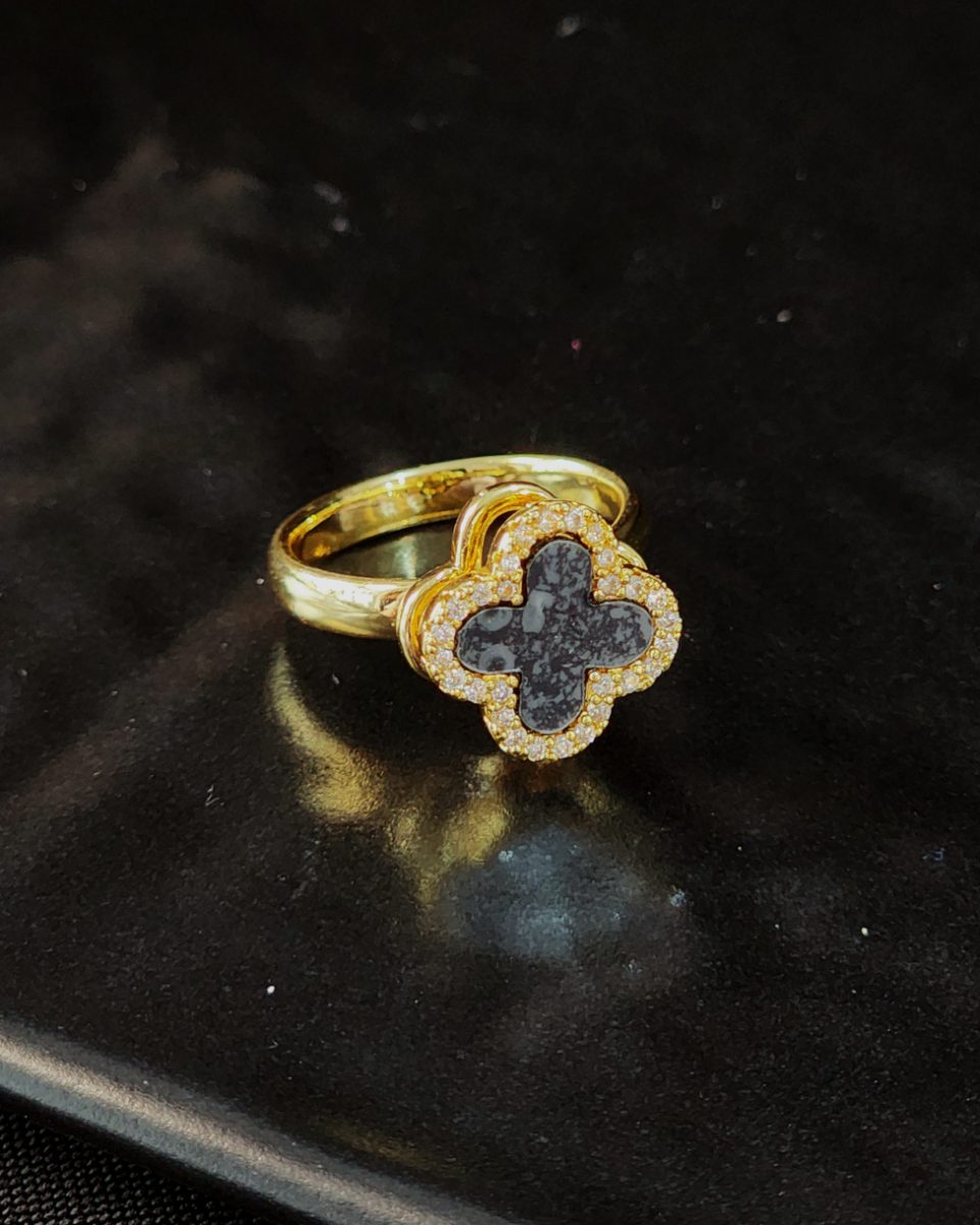 Anillo Giratorio