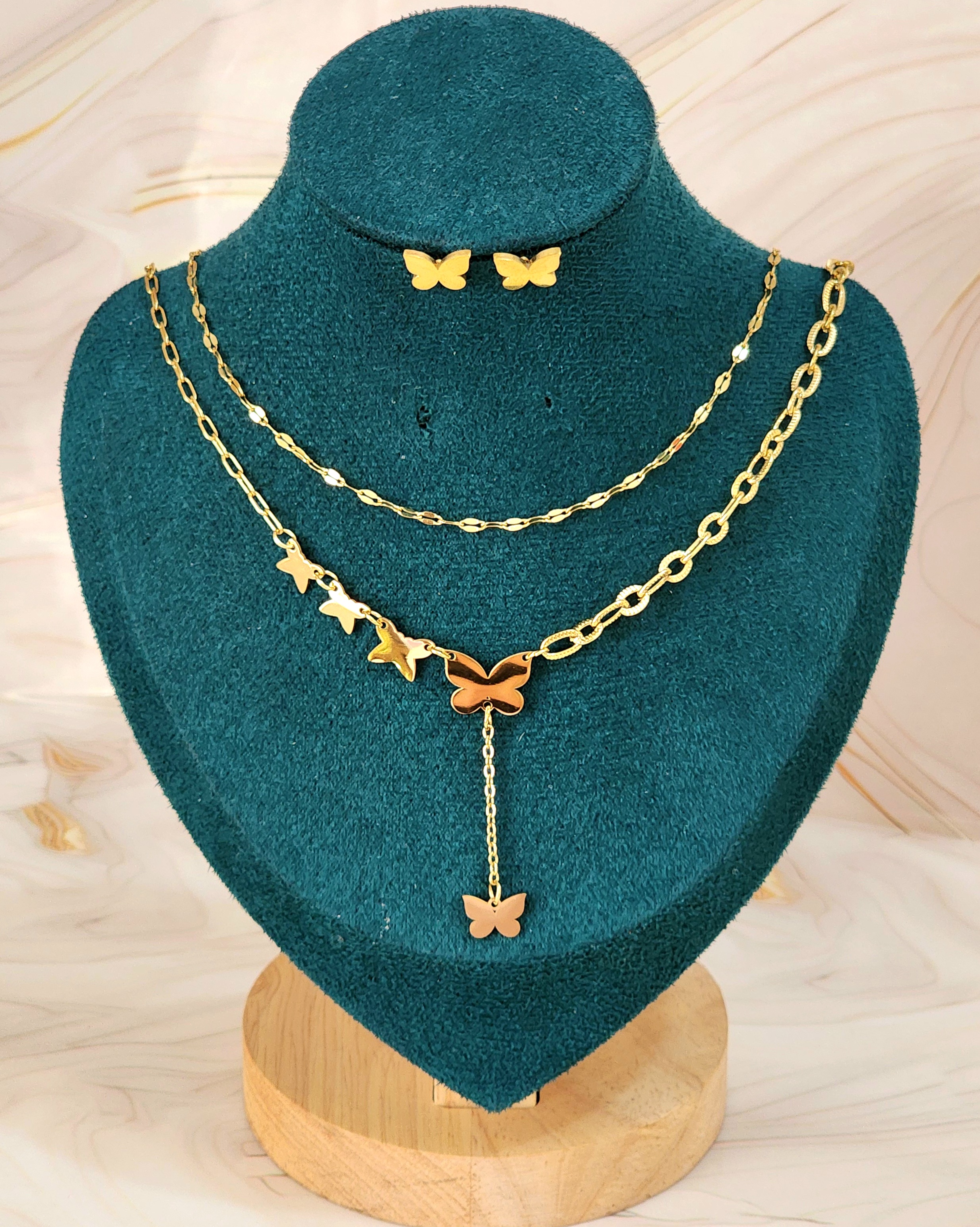 Conjunto de Aro con Collar de Acero Inoxidable -2