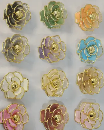 Set de 12 Hebillas